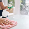 Professional Cleaning Services