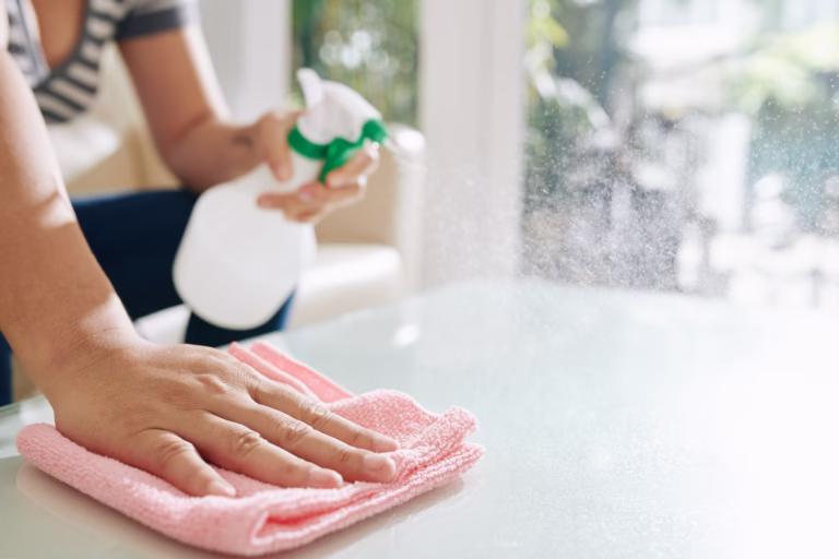 Professional Cleaning Services