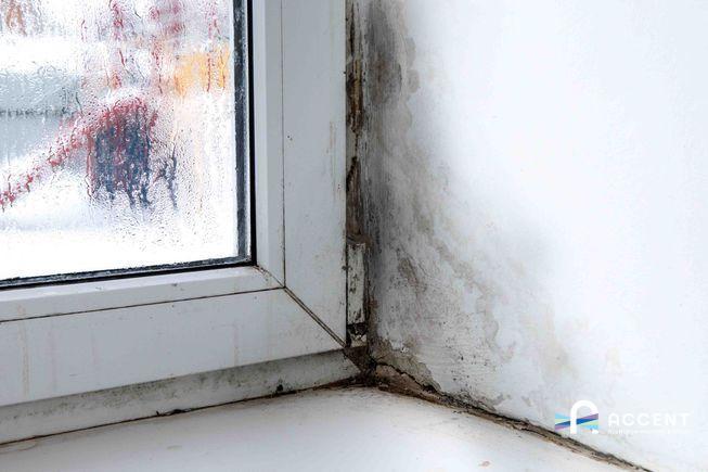 Damp savvy and eco smart products that tackle mould window care between rains and waste reduction tips