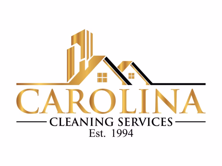cleaning services in my area