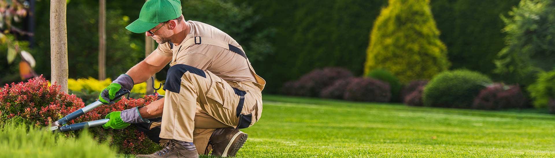 The UK cleaning services landscape from national brands to regional specialists and how to choose between them