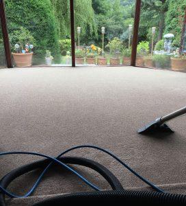 Vetting insurance and safeguarding standards for trustworthy cleaners