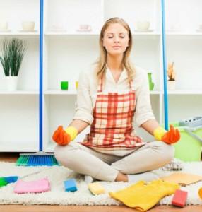 Eco conscious cleaning that blends real effectiveness with allergy safety tenancy standards and pet friendly practices