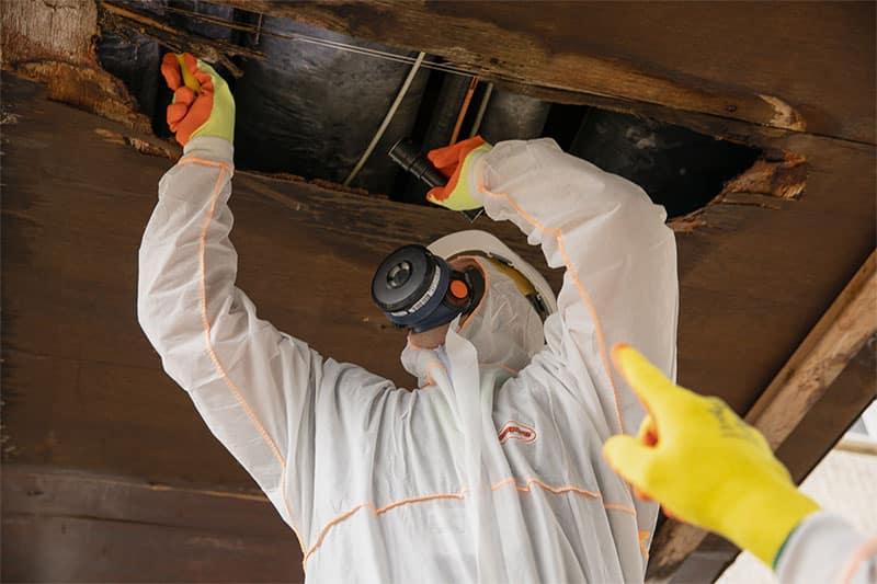 Health and safety essentials including asbestos checks rodent decontamination and HEPA dust control