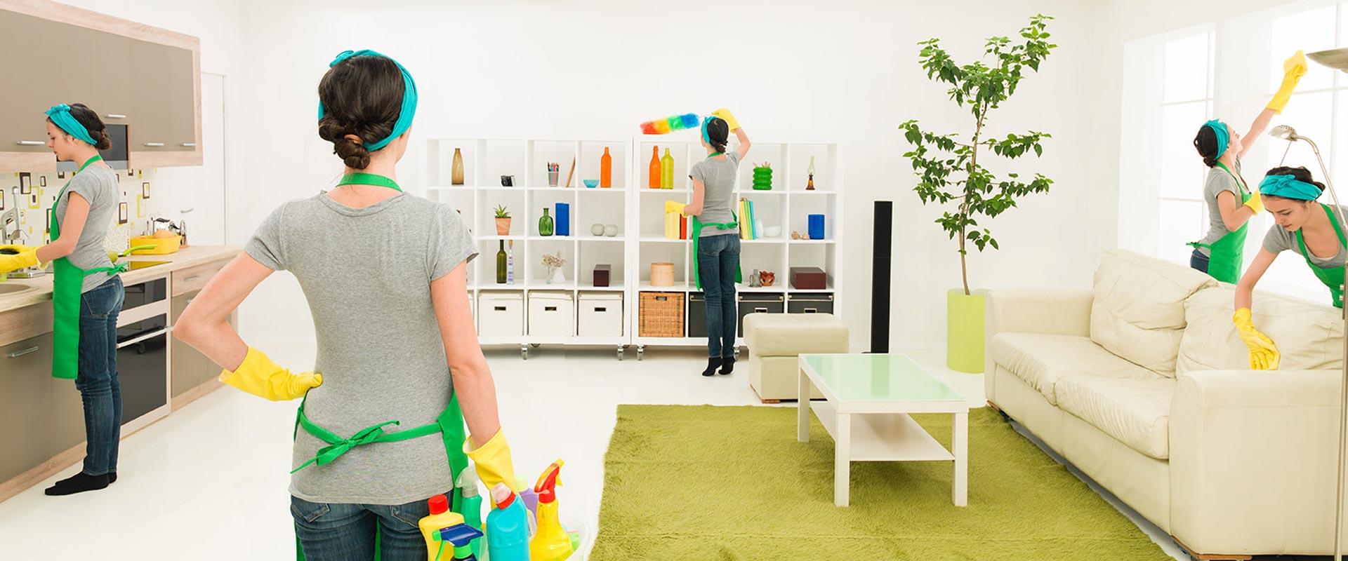 What to look for in a trustworthy team insured DBS checked COSHH compliant and trained to BICSc standards