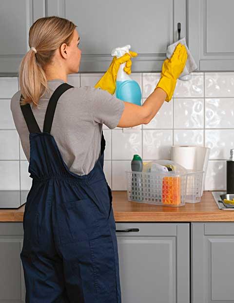 National leaders in domestic cleaning and where they truly excel