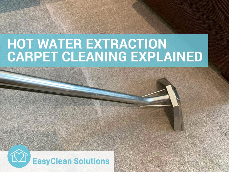 Steam hot water extraction and low moisture options with best use scenarios