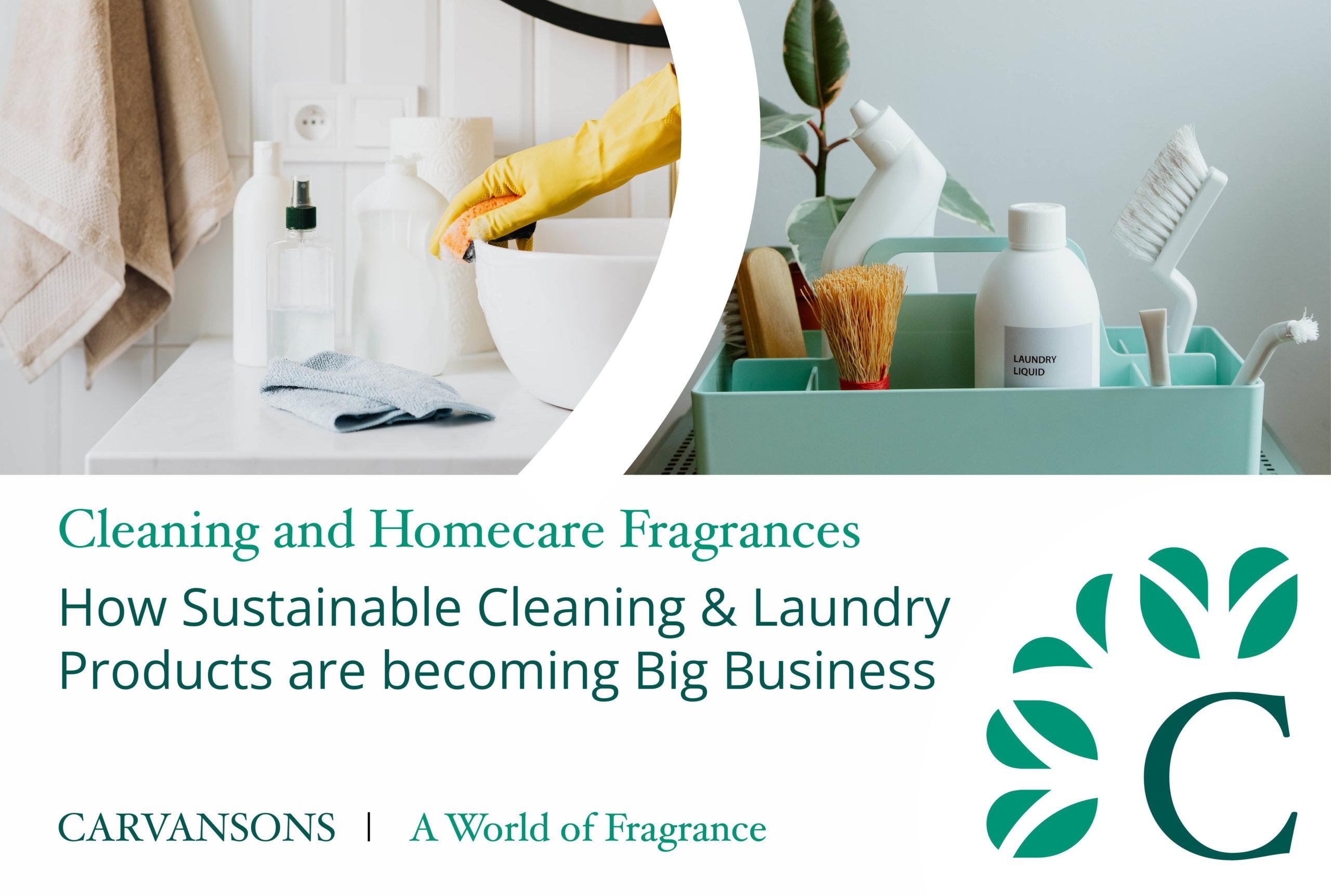 Eco Friendly and Ethical Options Assessing Green Credentials Worker Welfare and Sustainable Supplies